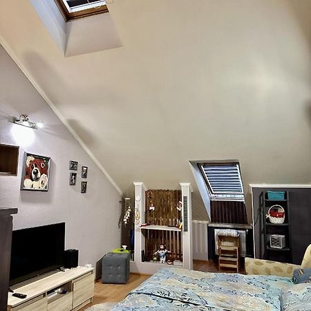 Schitterend Appartement In Het Centrum Van อัมสเตอร์ดัม ภายนอก รูปภาพ